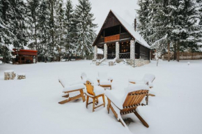 Lake House Voşlăbeni